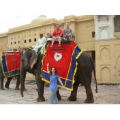 Day 02 (Rajasthan Short Tour 3 NIGHTS  4 DAYS) elephant ride up to amber.jpg